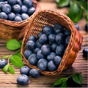 Blueberry - um superalimento para saúde