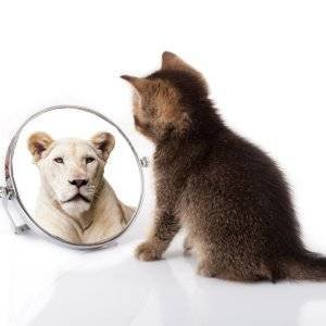 Em Paz com o Espelho