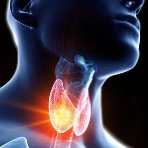 Hipotireoidismo Tireoide Endocrinologista em Alphaville